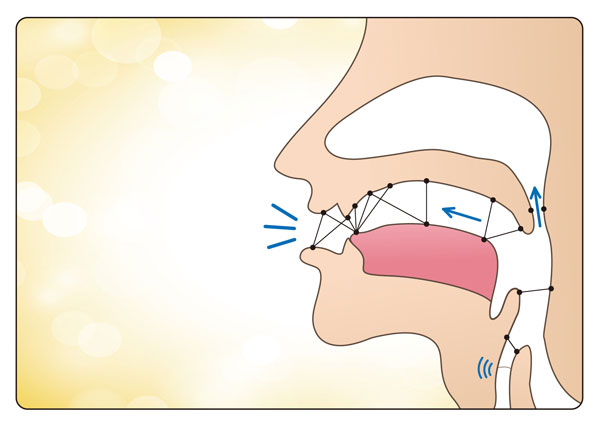 Points of articulation in the mouth and the different ways of releasing sounds.