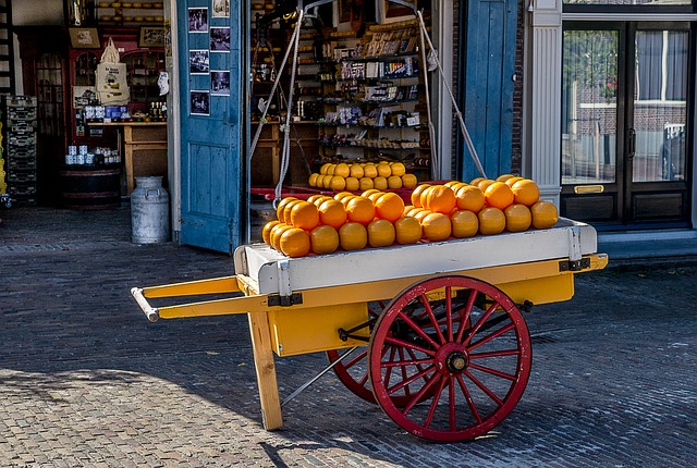 How to Learn the Basics of the Dutch Language cheese